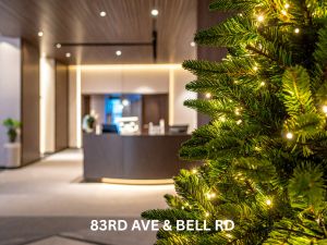 How do I choose between white and multicolor lights?