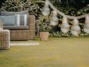 Customizable Lighting Solutions for Any Occasion