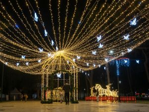 How Do You Choose the Right Outdoor Lighting Company in Frisco?