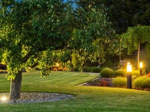 How Can You Customize Landscape Lighting for Your Home?